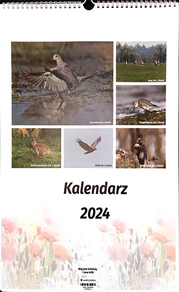 Kalendarz, Józef Banaś, Ornitolog, Ptaki, Karobrazy, Widok